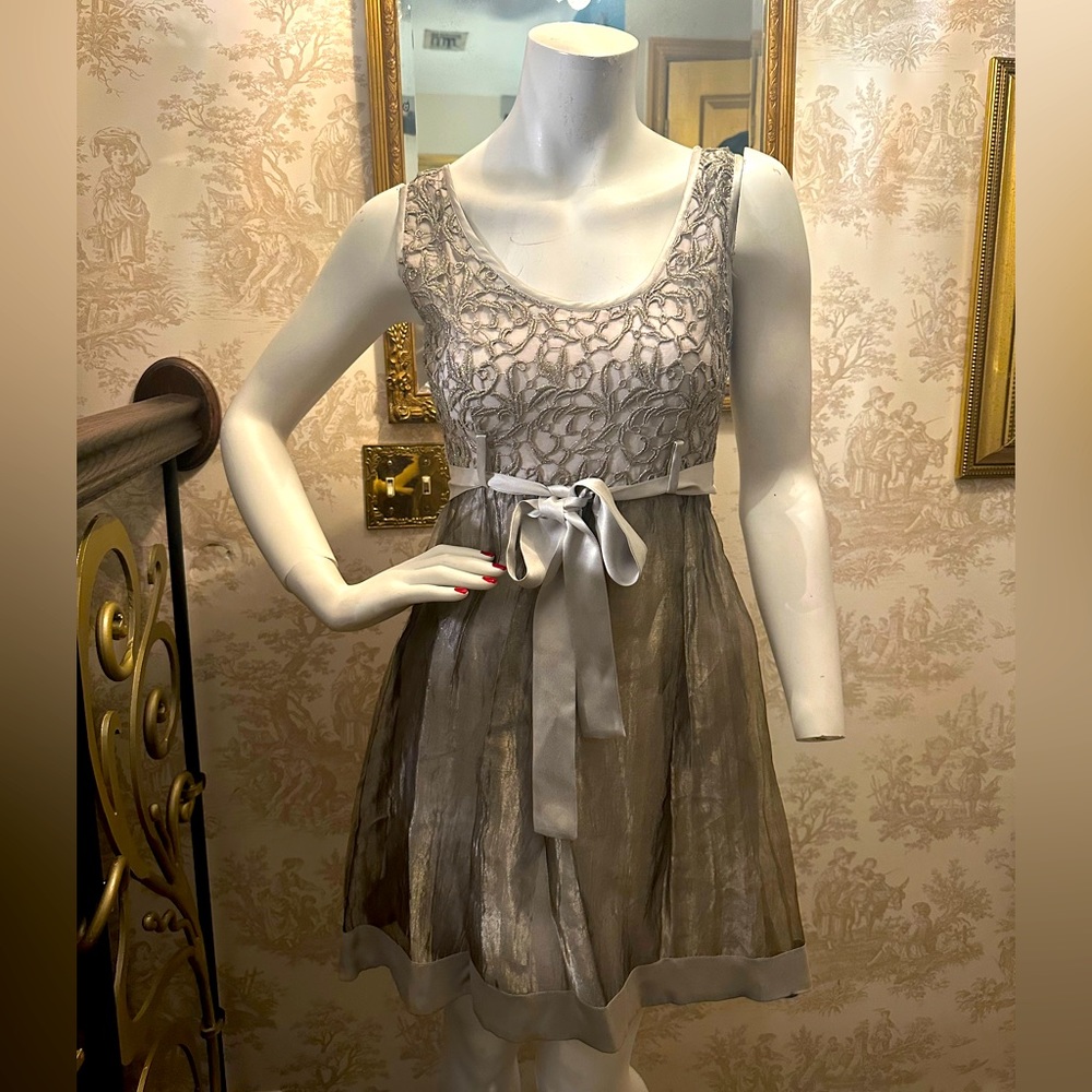 Silver and gold cocktail dress nwt